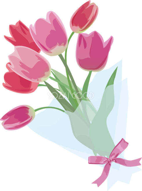 おしゃれなピンクと赤のチューリップの花束フリー無料イラスト83385 素材good