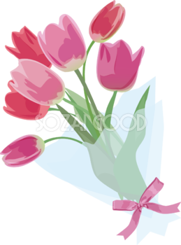 おしゃれなピンクと赤のチューリップの花束フリー無料イラスト83385