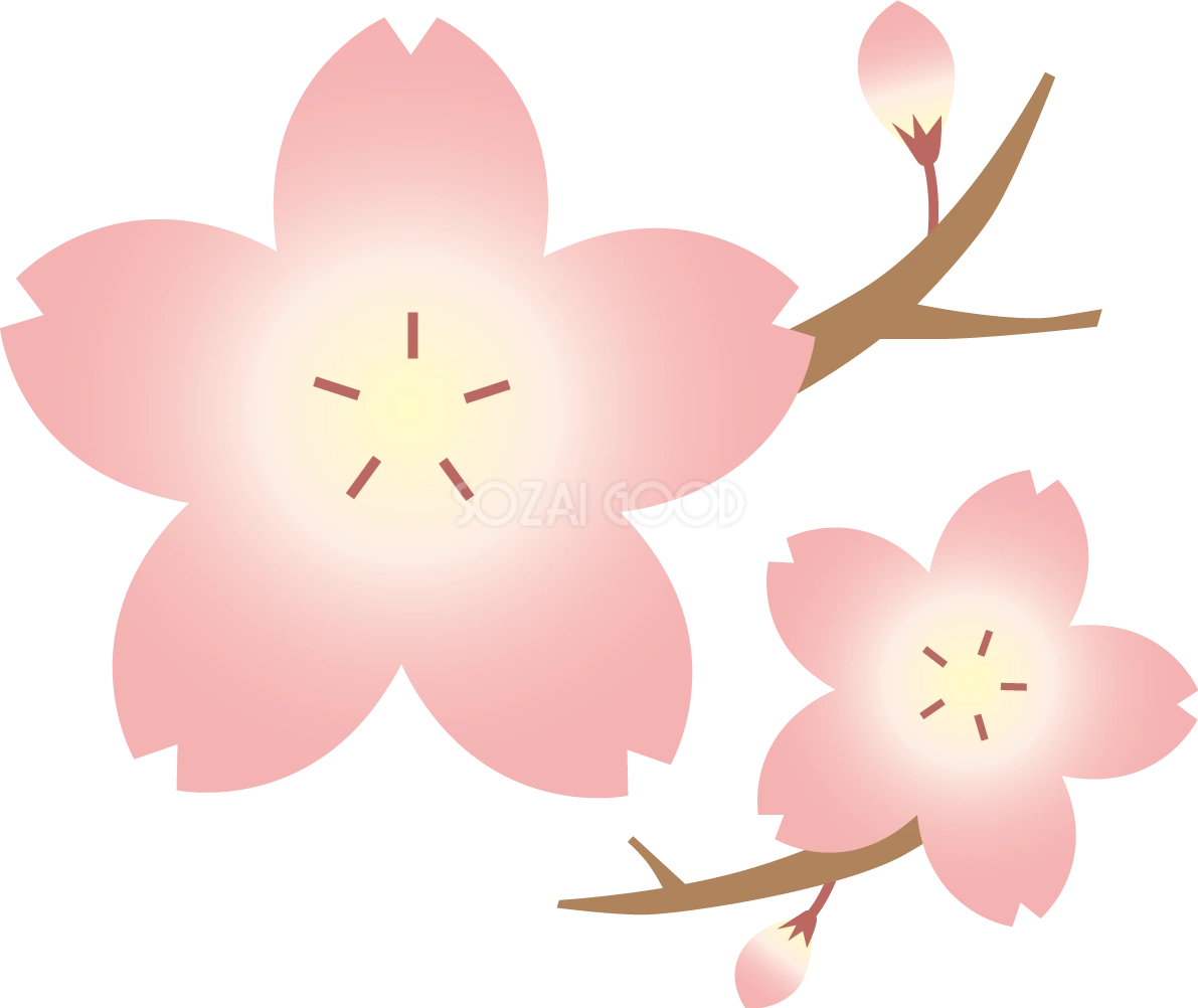 桜と枝とつぼみ開花イラスト・ワンポイント(フリー)無料83402