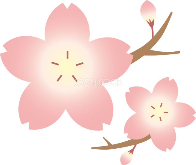 桜と枝とつぼみ開花イラスト ワンポイント フリー 無料402 素材good