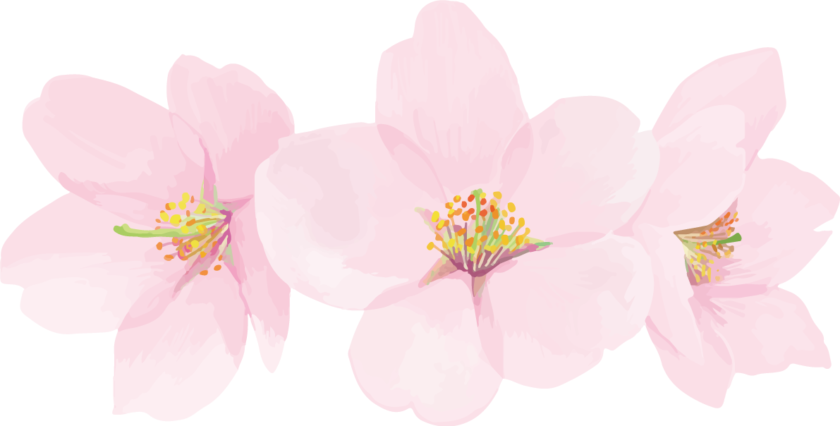 リアル綺麗な桜・花びらイラスト ３つの花飾り背景なし(透過)無料フリー83444に写真・文字を入れる