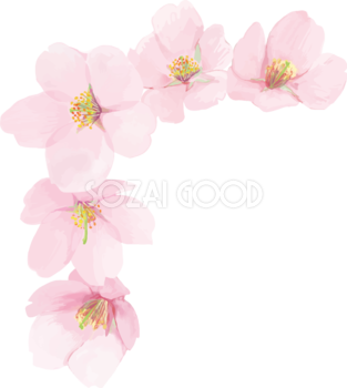 リアル綺麗な桜・花びらイラスト シンプル左上角用飾り背景なし(透過)無料フリー83445