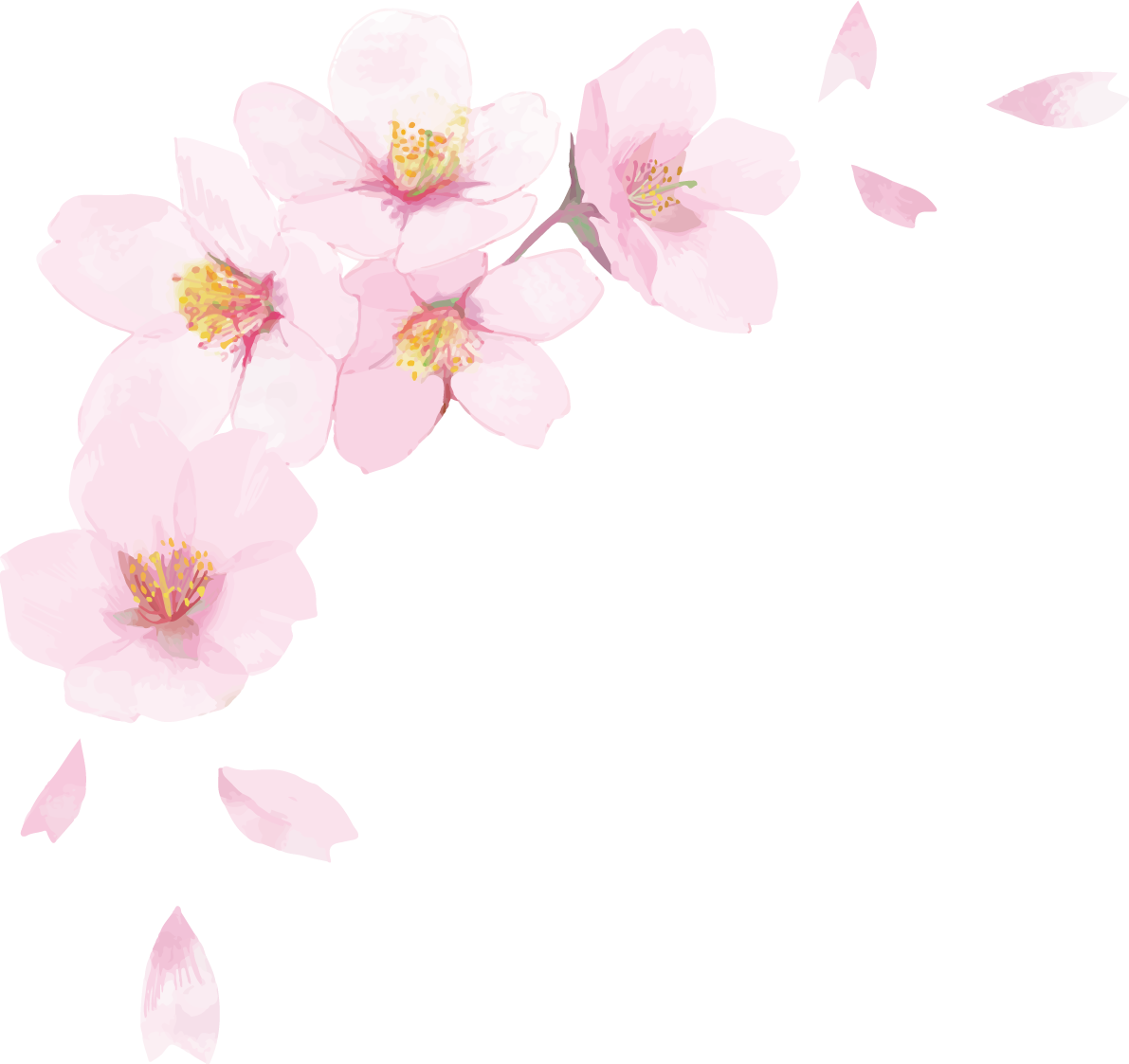 リアル綺麗な桜・花びらイラスト 右上角用飾り背景なし(透過)無料フリー83447に写真・文字を入れる