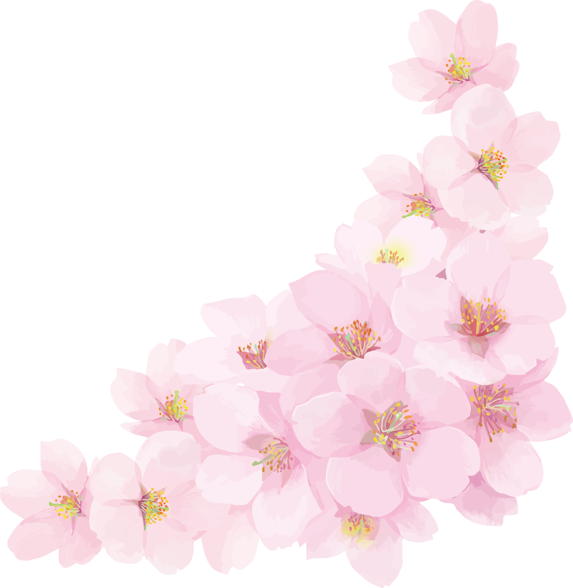 リアル綺麗な桜・花びらイラスト 満開右下角用飾り背景なし(透過)無料フリー83449に写真・文字を入れる