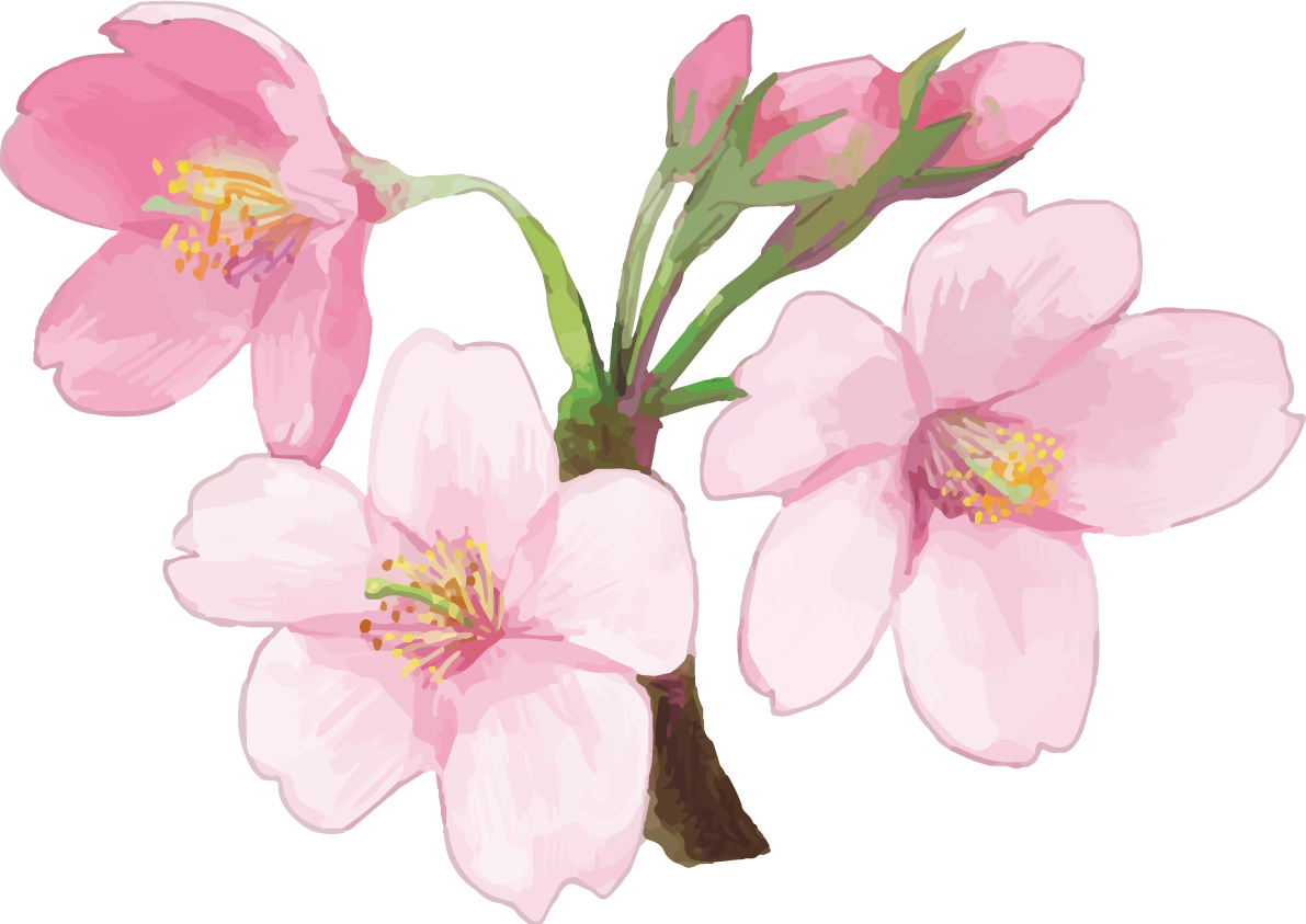 リアル綺麗な桜の枝イラスト ３輪の花飾り背景なし(透過)無料フリー83451に写真・文字を入れる