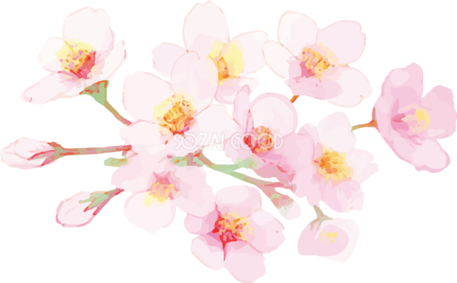 桜 イラスト 綺麗 風景 桜 イラスト 綺麗 Maryhammonsjp