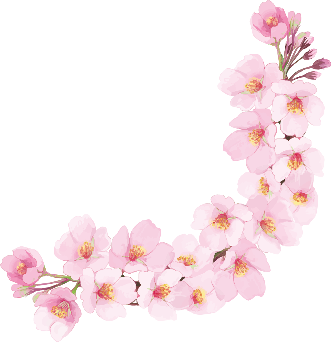 リアル綺麗な桜の枝イラスト シンプル右下角用飾り背景なし(透過)無料フリー83453に写真・文字を入れる