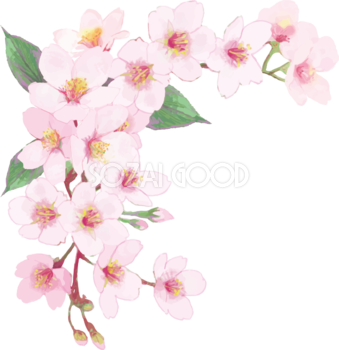 桜 花びら散るイラスト 透過 背景なし無料 フリー 素材good