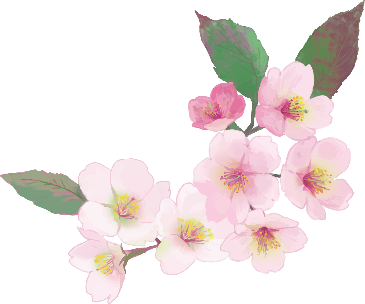 リアル綺麗な桜の枝イラスト 咲き終わり右下角用飾り背景なし(透過)無料フリー83459に写真・文字を入れる