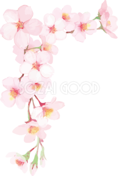 桜 花びら散るイラスト 透過 背景なし無料 フリー 素材good