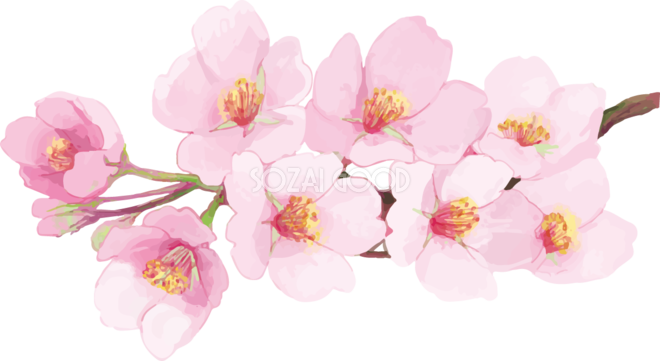 ユニークイラスト 桜 画像 綺麗 無料イラスト集