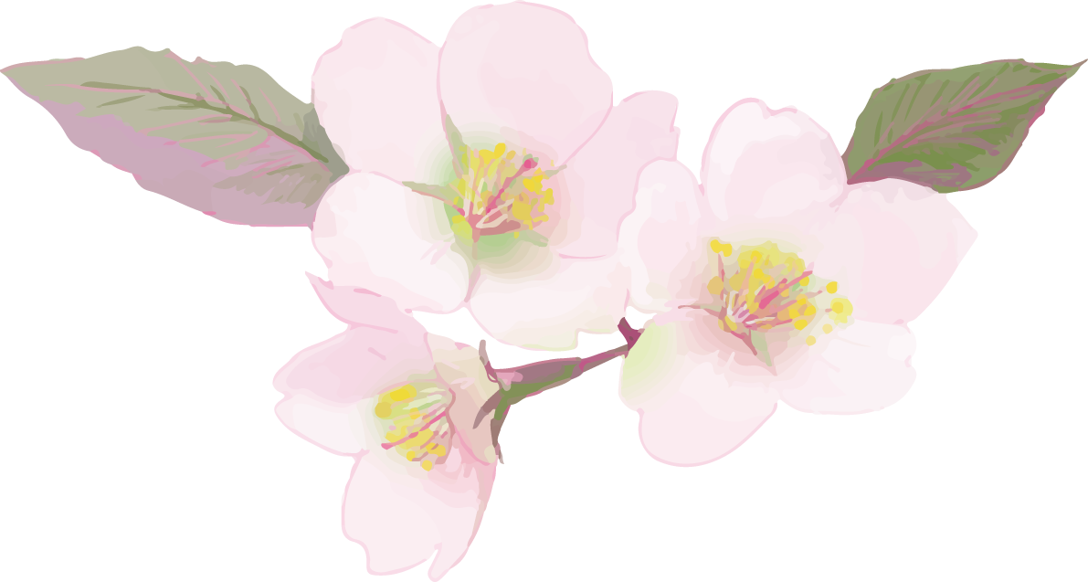 リアル綺麗な桜の枝イラスト 綺麗飾り背景なし(透過)無料フリー83464に写真・文字を入れる