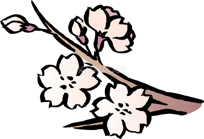 リアルなタッチの桜の枝 和風 筆 墨 桜の無料フリーイラスト501 素材good