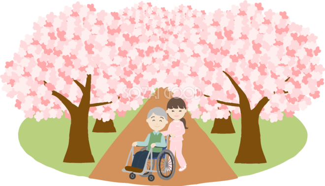 桜並木の下で介護師や看護師が車椅子に老人と花見するイラスト無料