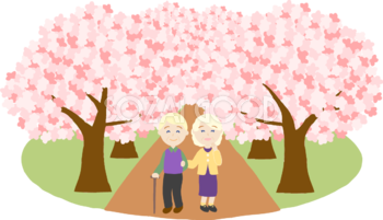 桜並木を外国人(金髪)の高齢者夫婦が花見するイラスト無料(フリー)83575