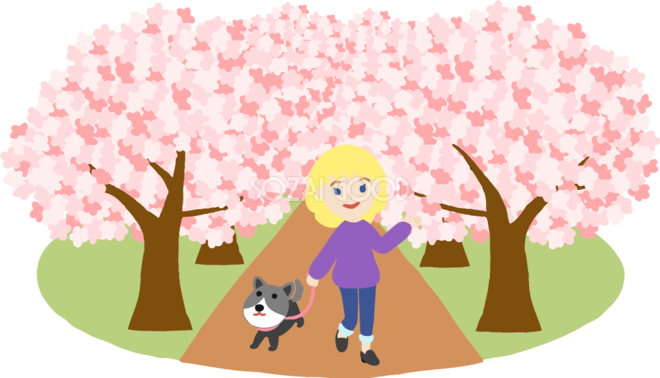 桜並木で犬を散歩する外国人 金髪 女性が桜を花見するイラスト無料 フリー 579 素材good