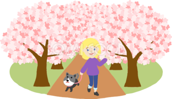 桜並木で犬を散歩する外国人(金髪)女性が桜を花見するイラスト無料(フリー)83579