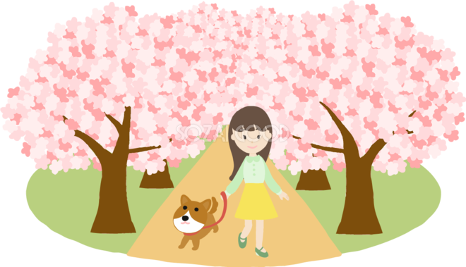 桜並木で犬を散歩する女性が花見するイラスト無料 フリー 580 素材good