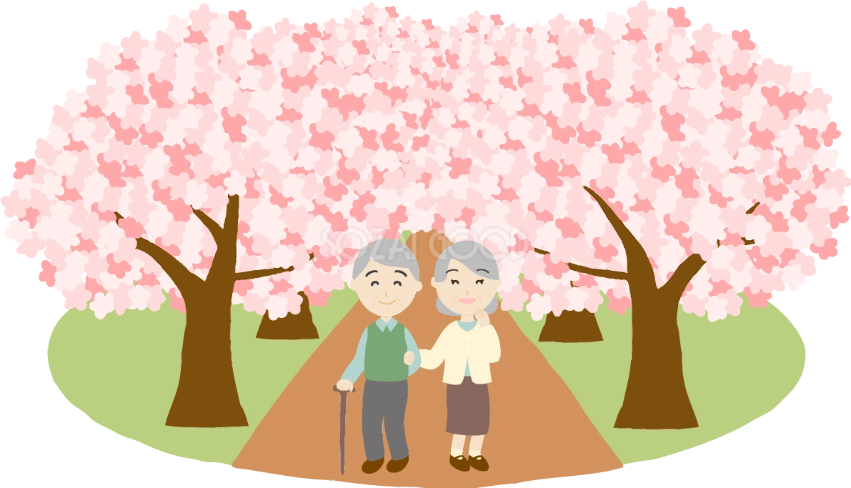 桜並木を高齢者夫婦が花見するイラスト無料(フリー)83581