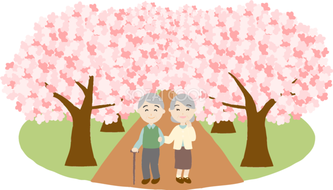 桜並木を高齢者夫婦が花見するイラスト無料 フリー 83581 素材good