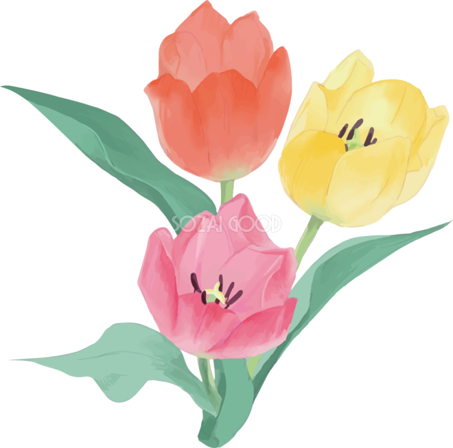 リアル綺麗チューリップイラスト ３色 赤 黄 ピンクの花 無料フリー83588 素材good