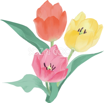 リアル綺麗チューリップイラスト(３色 赤・黄・ピンクの花)無料フリー83588