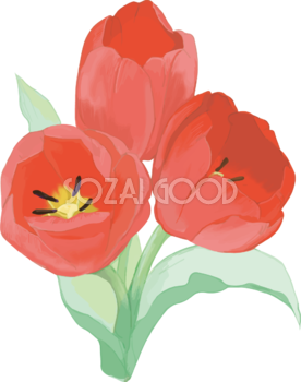 リアル綺麗チューリップイラスト(3本の赤い重なる花)無料フリー83590