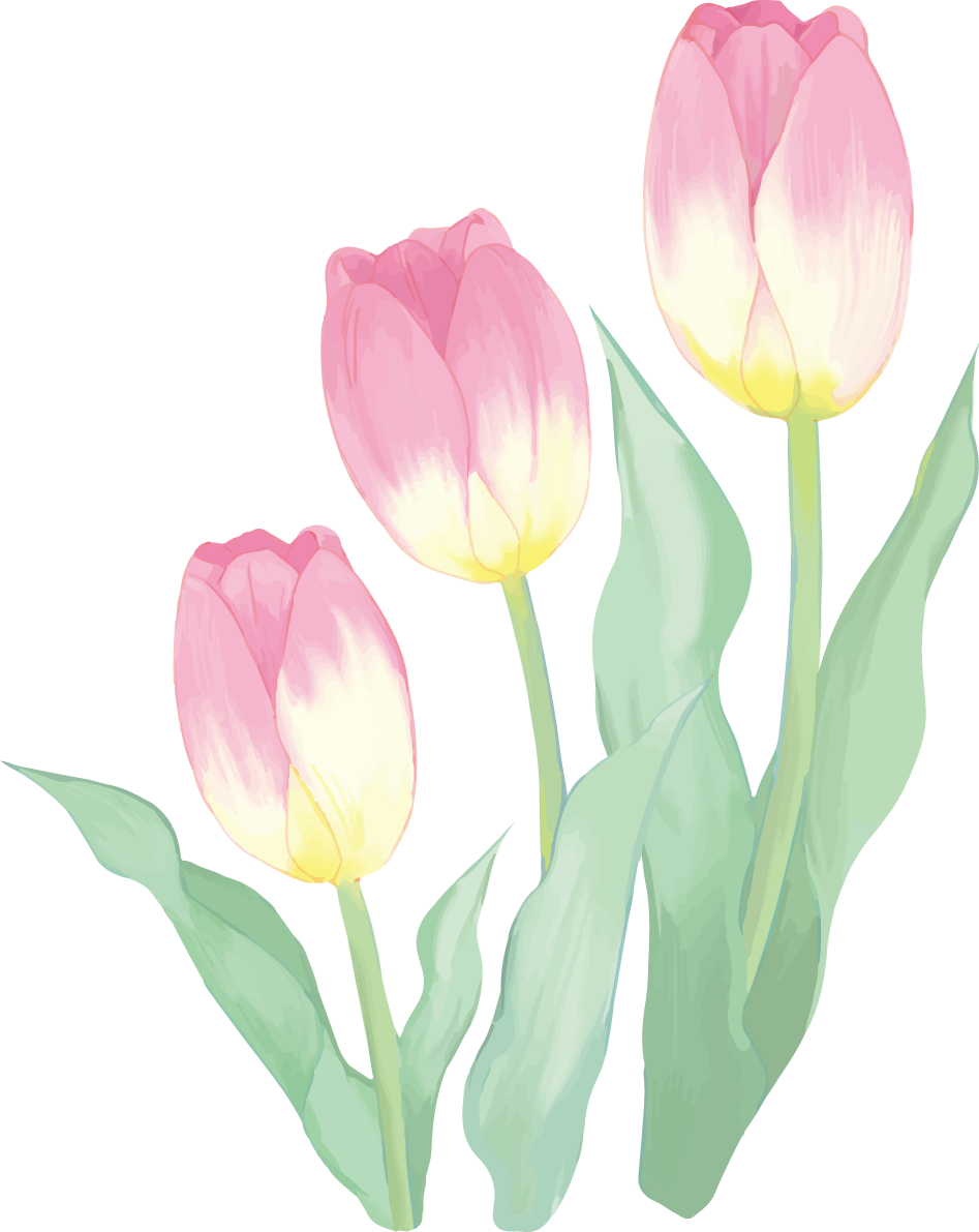 リアル綺麗チューリップイラスト(ピンクの花が背の順に３輪並ぶ)無料フリー83594に写真・文字を入れる