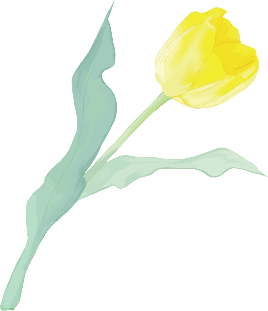 リアル綺麗チューリップイラスト(黄色の花が右に傾き咲く)無料フリー83602に写真・文字を入れる