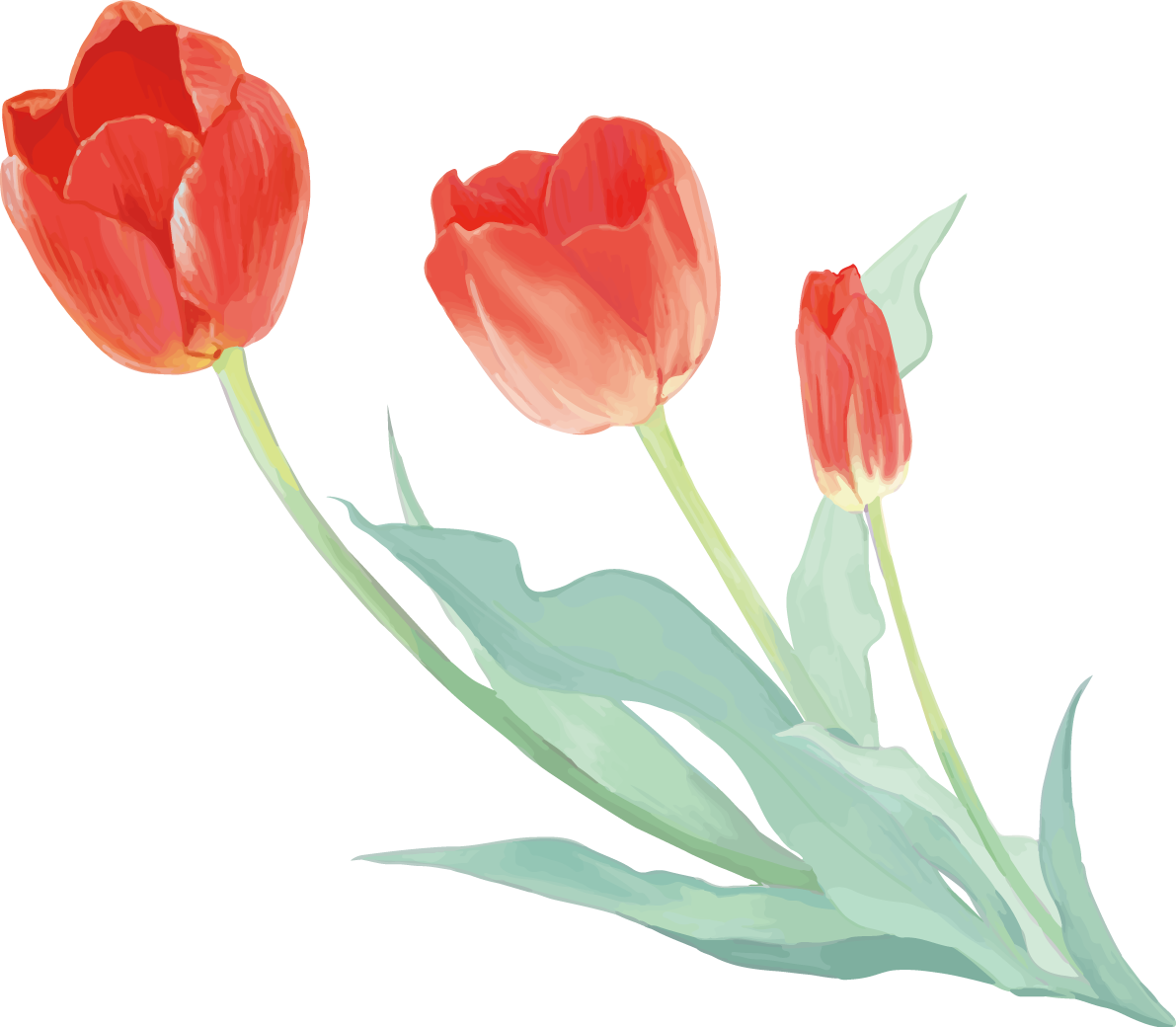 リアル綺麗チューリップイラスト(左に傾く赤い３輪の花)無料フリー83607に写真・文字を入れる