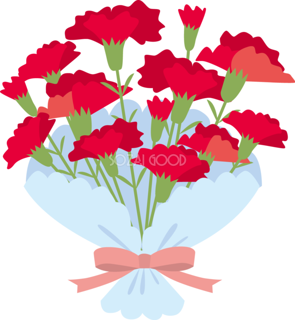 赤いおしゃれカーネーションイラストの大きな花束 無料フリー648 素材good