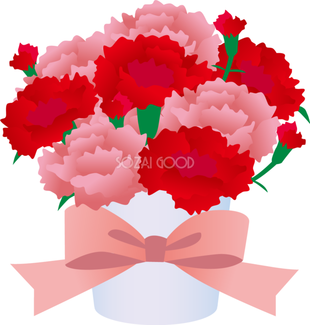 白い鉢にアレンジされたピンクと赤のかわいいカーネーションイラスト無料フリー657 素材good