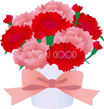 白い鉢にアレンジされたピンクと赤のかわいいカーネーションイラスト無料フリー83657