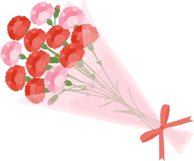 赤とピンク色の豪華な花束カーネーション無料フリーイラスト83681