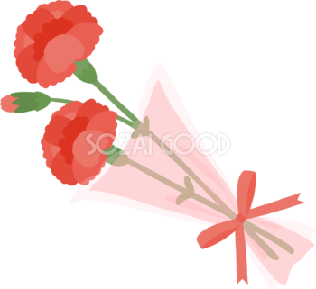 赤色の小さな花束カーネーション無料フリーイラスト83688
