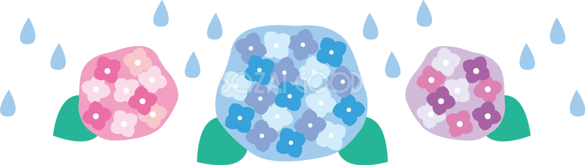 3色のかわいい紫陽花と雨粒のイラスト無料フリー83721