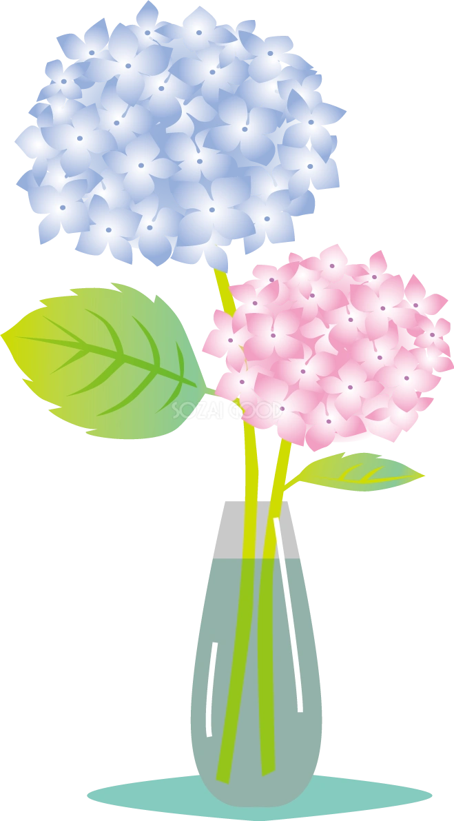 ガラスの花瓶に生けた2本のかわいい紫陽花イラスト無料フリー83723