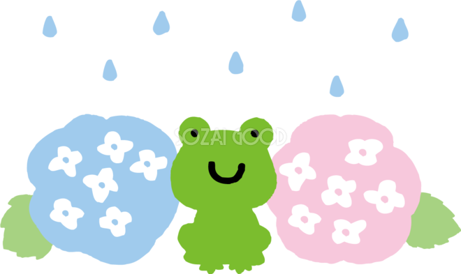 かわいいアジサイと雨粒とカエルイラスト無料フリー724 素材good