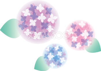 ぼんやりと透ける3つのかわいい紫陽花イラスト無料フリー83732