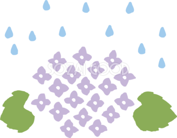紫色のかわいい紫陽花 花びらと雨粒 イラスト無料フリー83744