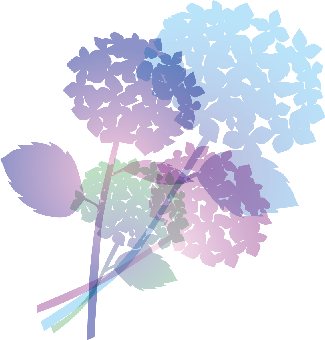 グラデーションのおしゃれ綺麗な紫陽花イラスト無料フリー83746に写真・文字を入れる