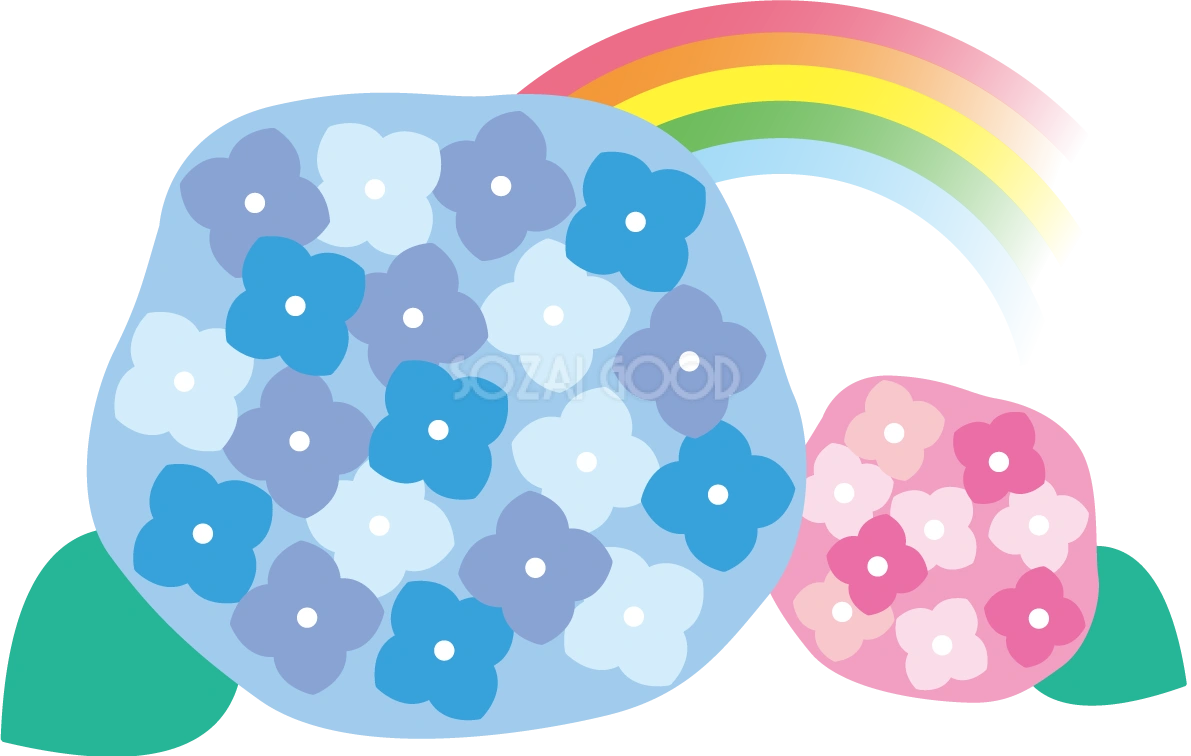青とピンクのかわいい紫陽花と虹イラスト無料フリー83750