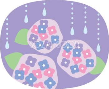 楕円の中にかわいい紫陽花と雨粒イラスト無料フリー83754