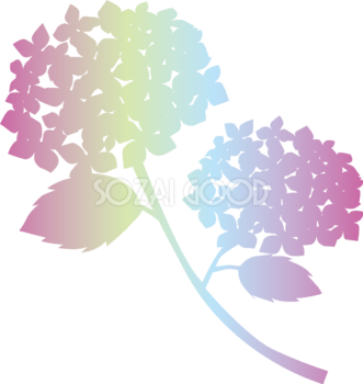 虹色グラデのおしゃれ綺麗な紫陽花イラスト無料フリーイラスト83756