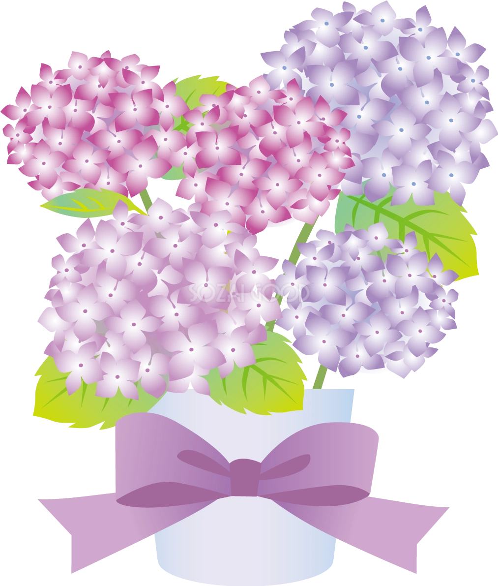 白い鉢に生けたかわいい紫陽花イラスト無料フリー83757
