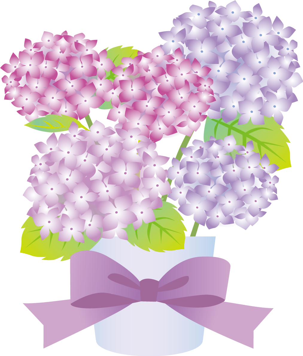 白い鉢に生けたかわいい紫陽花イラスト無料フリー83757に写真・文字を入れる