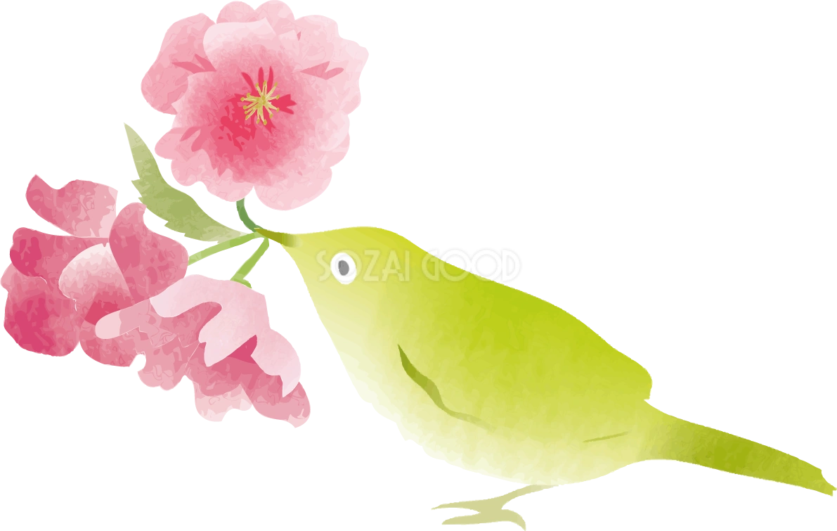 かわいいウグイスと桜の無料フリーイラスト83781