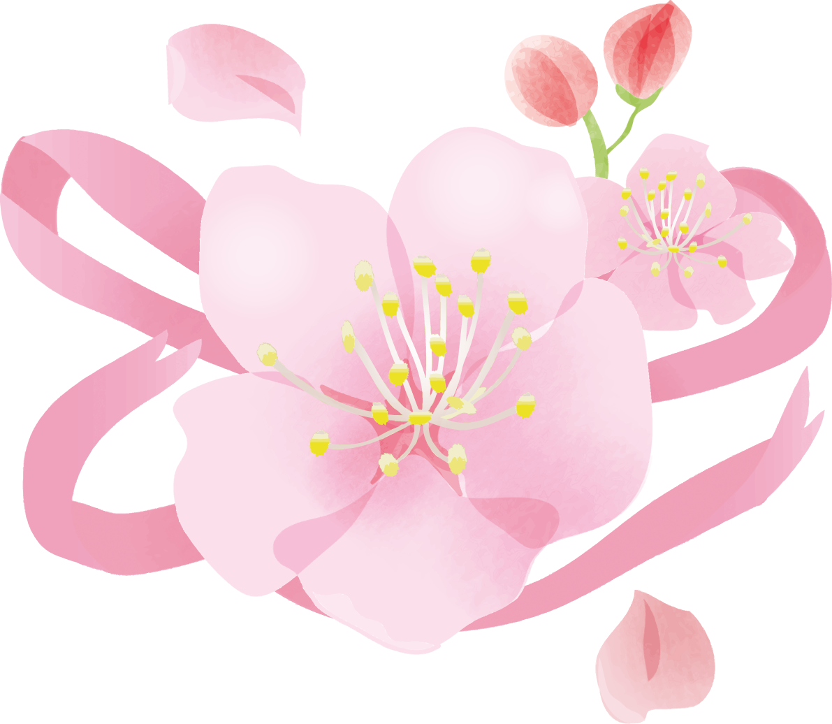 かわいい桜とリボン桜の無料フリーイラスト83784に写真・文字を入れる