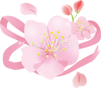 かわいい桜とリボン桜の無料フリーイラスト83784
