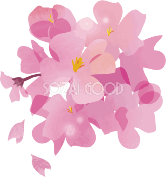 束桜のかわいい無料フリーイラスト83787